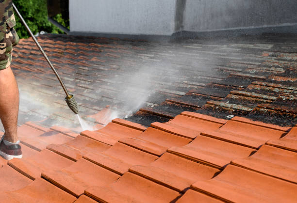 Best Concrete Pressure Washing  in Wagener, SC