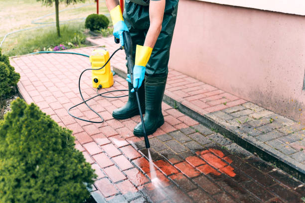 Best Roof Power Washing Services  in Wagener, SC