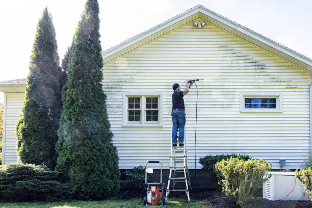 Best Deck Cleaning Services  in Wagener, SC