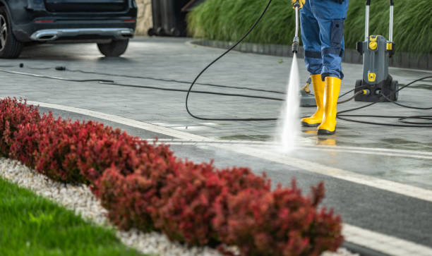 Best Pressure Washing Driveway  in Wagener, SC
